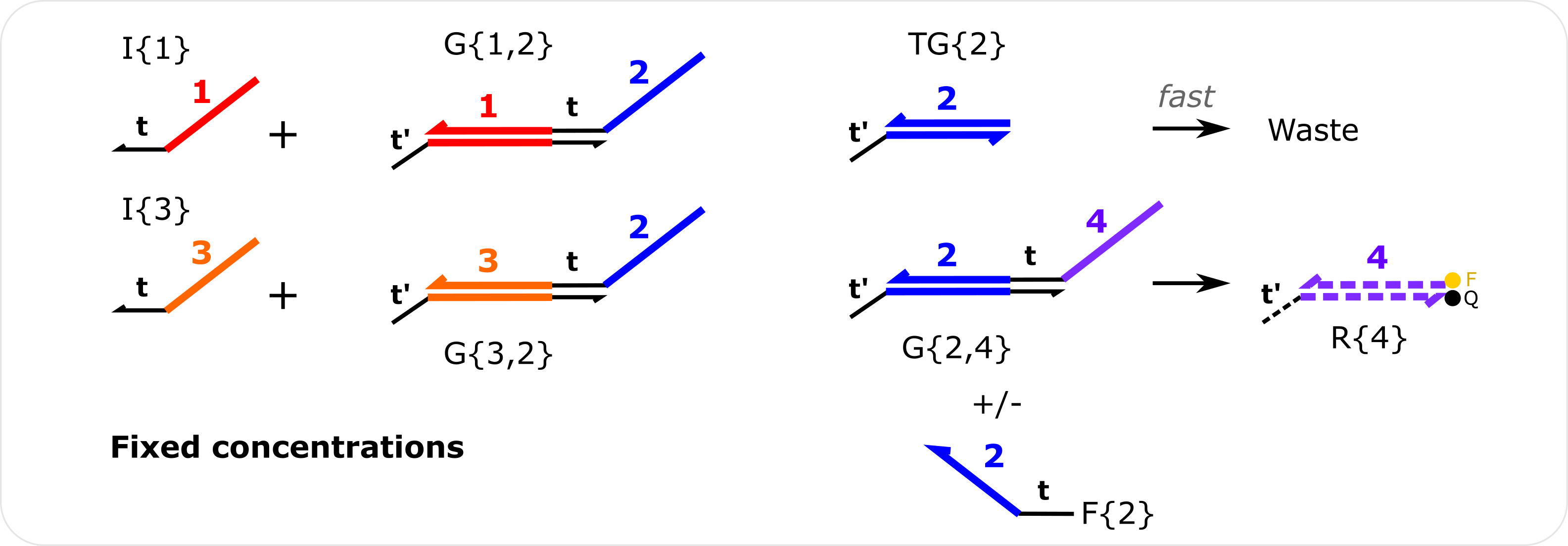 _images/DNA_seesaw_ex_schematic.png